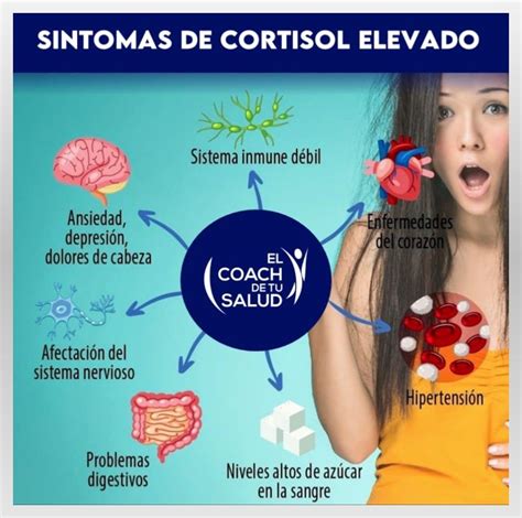 Que Es Cortisol Alto