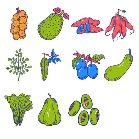 水果蔬菜手绘勾线插画元素