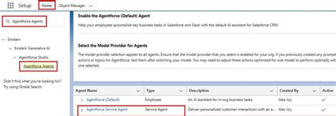 Custom Agent Using Flows in Salesforce 的图像结果