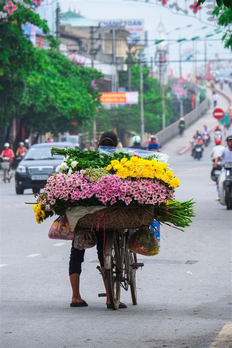 越南卖花人供营商在河内 库存照片. 图片 包括有 曲线, 高地, 字段, 管理, 巴厘岛, 绿色, 增长 - 65059542