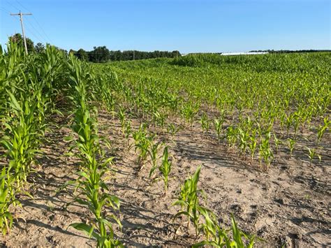 Image result for Soil Compaction Solutions