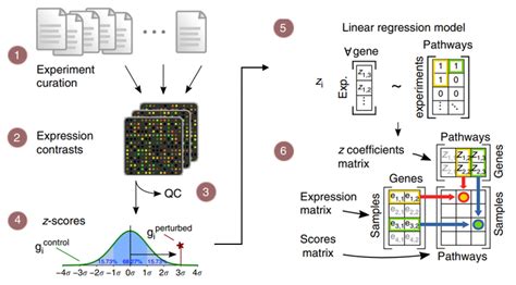 Forney Algorithm 的图像结果