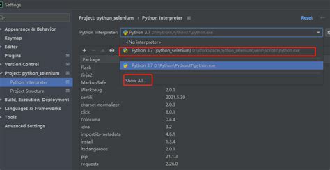 Python Requires 的图像结果