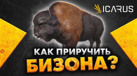 Как приручить Бизона или страуса Моа в ICARUS - YouTube