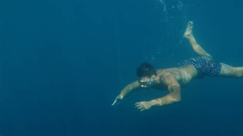 Swimming in Sea 的图像结果