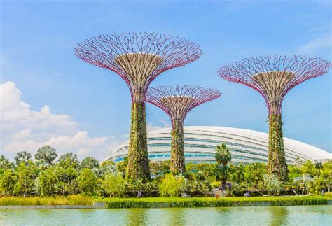 Discovery Malaysia, Singapore With Genting Dream Cruise 8 Nights 9 Days ...