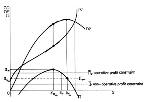 Image result for Sales Revenue Maximisation