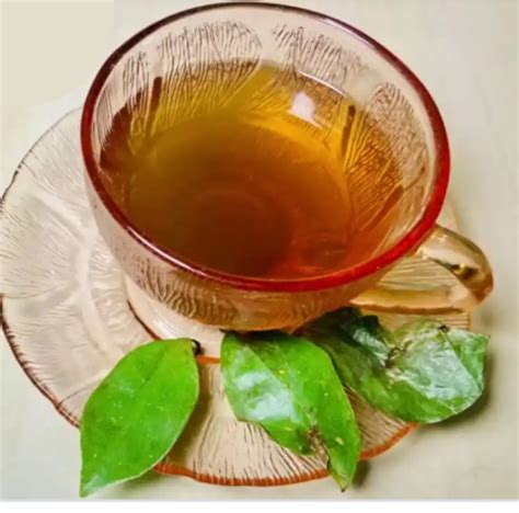 What Is Soursop Leaves Tea Good For? 19 Health Benefits