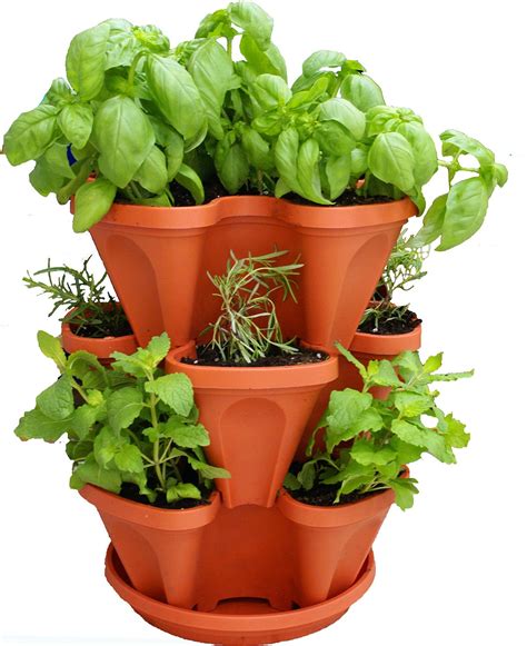 7 Best Self-Watering Planters for Indoors and Outdoors