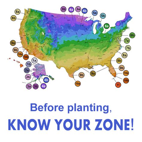 USDA Plant Hardiness Zone Map - Wilson Bros Gardens