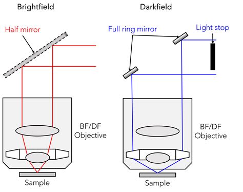 Optical Microscopy | Brightfield | Darkfield