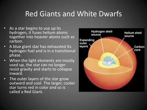 Star 的图像结果