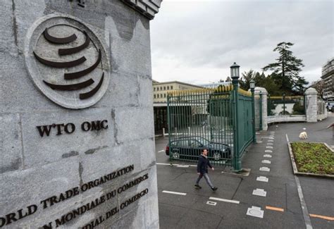 Politics & International | Zemin täzelikler