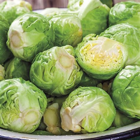 Johnsons Brussels Sprout Brechin F1 Vegetable Seeds | Wilko