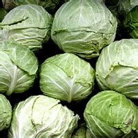 Kanthalloor tourism - Best Kanthalloor tourism