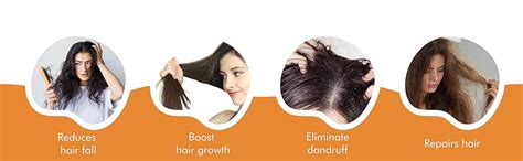 Buy Just Jaivik Organic USDA Certified Henna Powder For Hair Certified ...