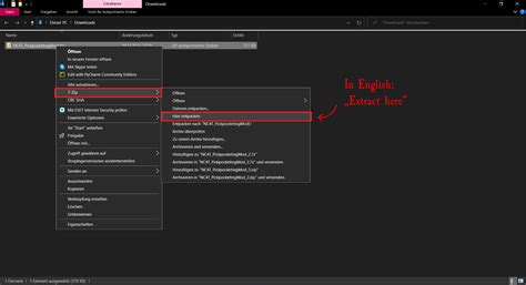 Image result for How to Unzip Sims 4 Mod Files