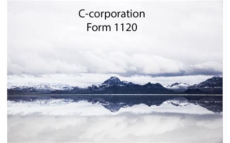 C Corp Filing Form 的图像结果