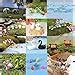 Buy Chocozone Pack of 40 Animal Miniatures Garden Décor Items Small ...