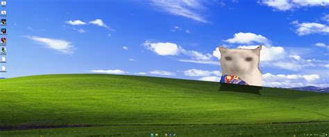 Live wallpaper Cat eats chips, Windows XP download on VSThemes.org