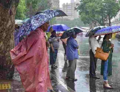 Rains lash Mumbai and suburbs; 1 person killed in tree fall incident