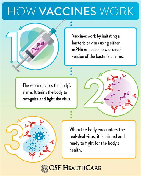 How vaccines work to protect us - importance of vaccination