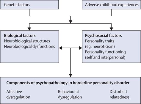 The biopsychosocial model of borderline personality disorder Narcissistic Personality Disorder ...
