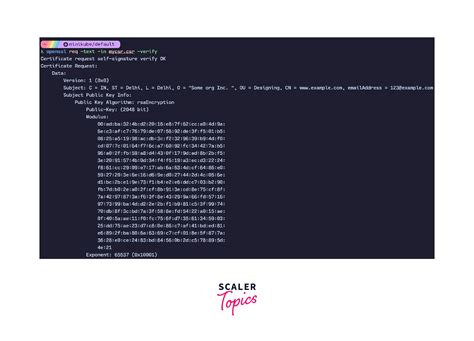 Image result for What Is Inside CSR File