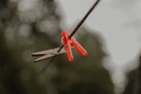 Image result for Clipper Pytorch