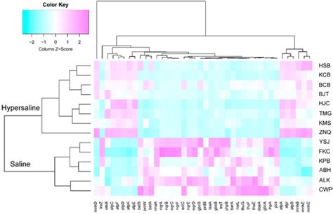 Microorganisms | Special Issue : Extremophilic Microorganisms and Their ...