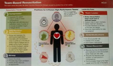 What Is A Resuscitation Triangle Role at Tina Philpott blog