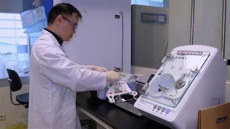 Stem Cell Process 的图像结果