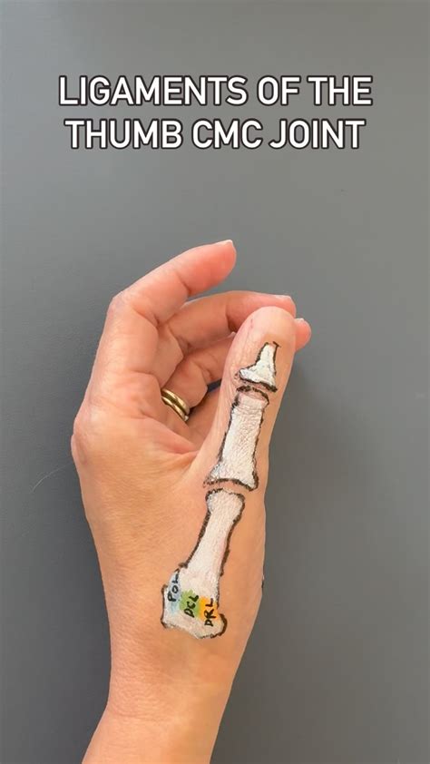 Joints Of Thumb Arthritis Of The Thumb | Bauerfeind New Zealand