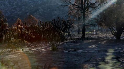 Image result for Absence Cast