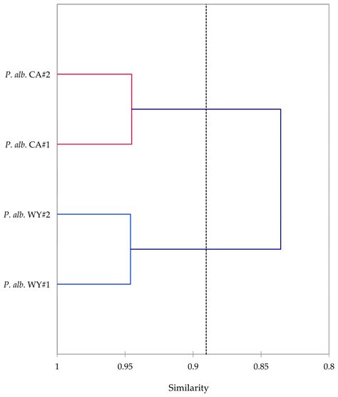 Leaf Essential Oil Compositions and Enantiomeric Distributions of ...