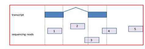 Image result for Project 3 5 Linux Answers