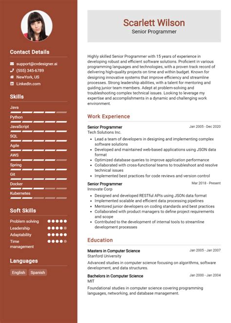 Computer Programmer Resume Examples 的图像结果