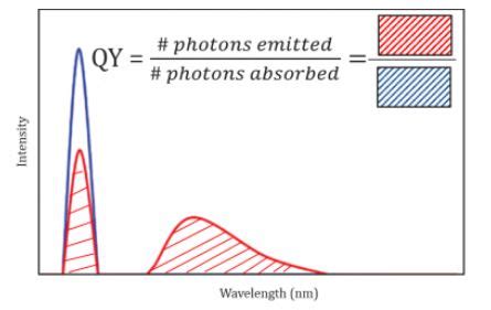 Image result for LED Quantum Yield Graph