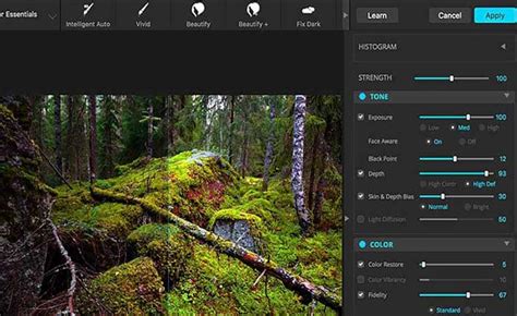 Image result for Paint Shop Pro Color Correction Tutorial