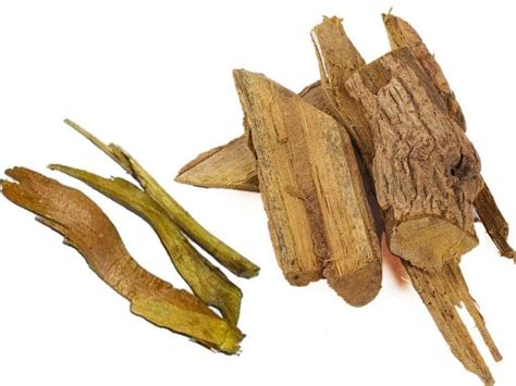 Buy SPEC Sky Life ® Daru Haldi - Indian Berberry - Daruhaldi Dried ...