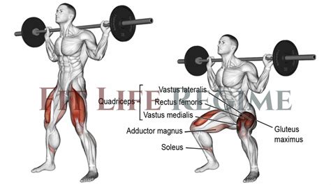 15 Best Barbell Leg Workout For Mass and Strength