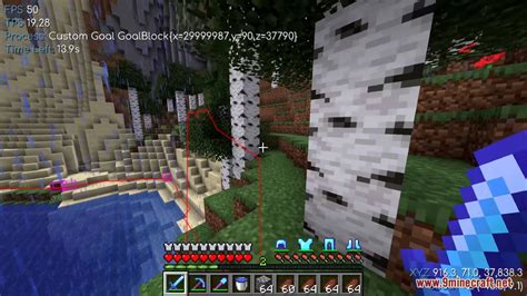 Image result for Baritone Inject Minecraft