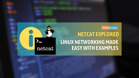 Image result for Linux Apt Install Netcat