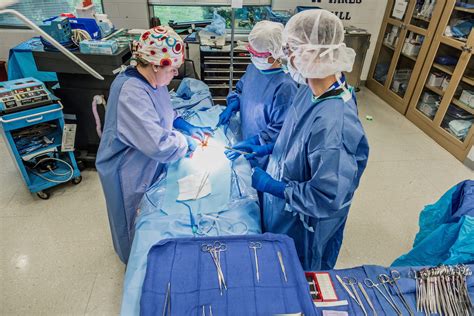 Surgical Technology Program 的图像结果