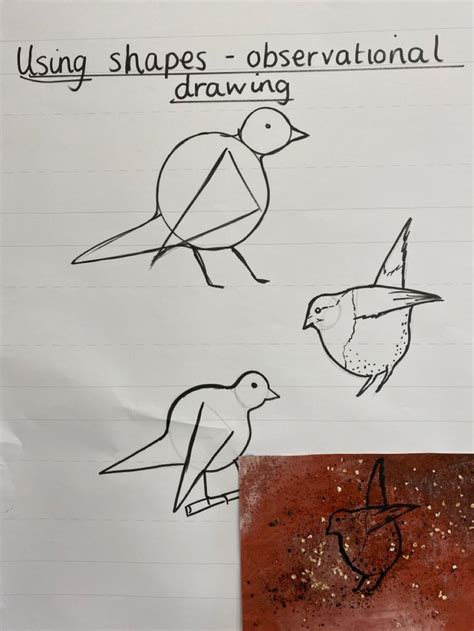 Image result for Drawing Animals Using Basic Shapes