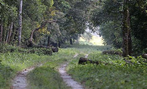 Dooars Tour Package by NBSTC Tourism