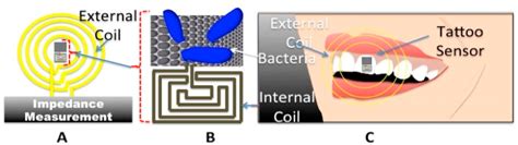 Sensors | Special Issue : Miniaturized Wireless Biosensors