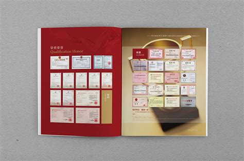 【企业画册系列】企业画册有哪些样式/款式？画册样式模板大全，排版简单，印刷便捷，海量素材图片免费用-金印客 排版印刷