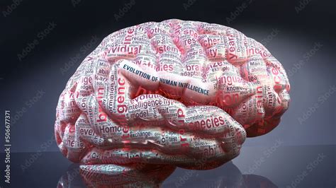 Image result for Humans Intelligence Evolution