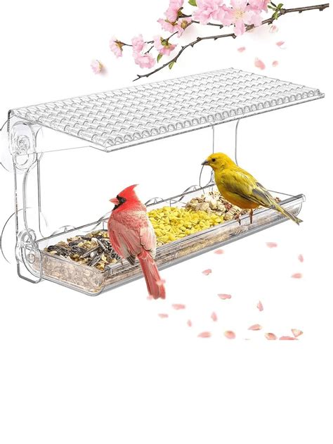 Mangeoire pour oiseaux de fenêtre extérieure avec ventouses puissantes ...